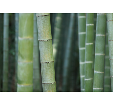 Forest bamboo canes nature murals - TenStickers