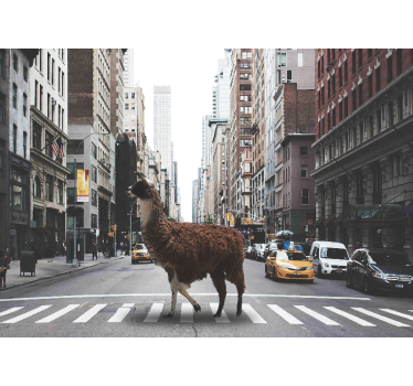 A lama in New York mural wallpaper - TenStickers