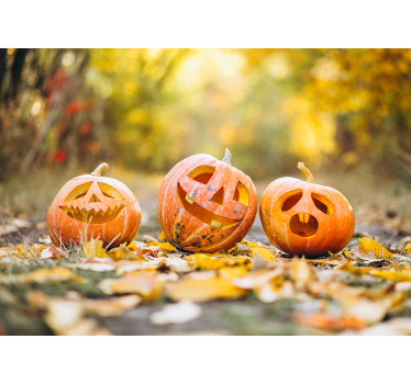 Carved Pumpkin Faces wall mural halloween - TenStickers