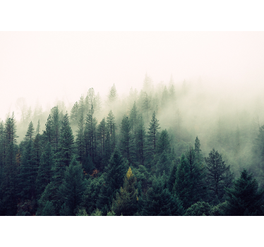 Foggy forest mural wallpaper - TenStickers
