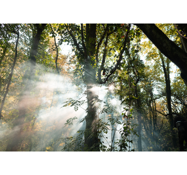 Green thick forest nature murals - TenStickers