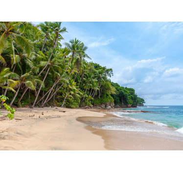 Beach paradise nature murals - TenStickers