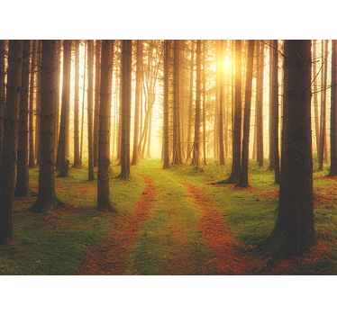 sunset wood  nature murals - TenStickers