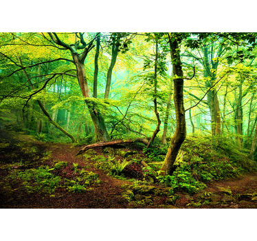 Green lightful forest mural wallpaper - TenStickers
