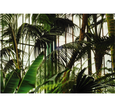 Living walls green plants mural wallpaper - TenStickers