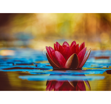 Zen reflected loto flower mural wallpaper - TenStickers