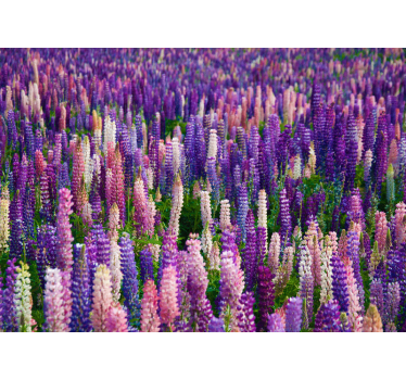 Purple flower field mural wallpaper - TenStickers
