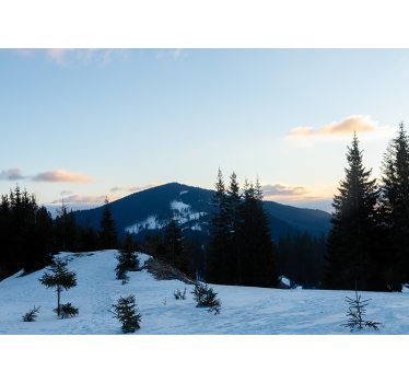 Wall mural mountain frosty summit landscape - TenStickers