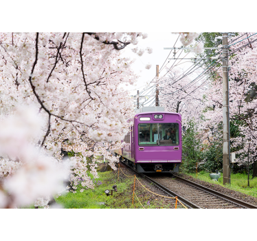 City wall mural cherry blossom train artwork - TenStickers
