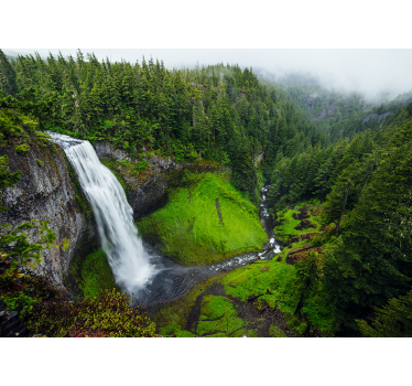 Peaceful waterfall in green forest nature murals - TenStickers