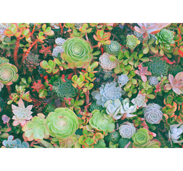Multicolor tropical thin leaves nature murals - TenStickers