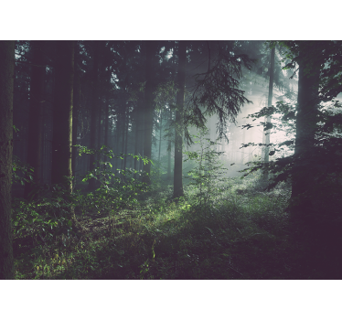 Deep light green forest mural wallpaper - TenStickers