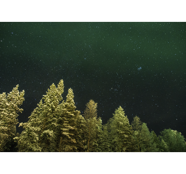 Forest wall mural starry pine forest - TenStickers