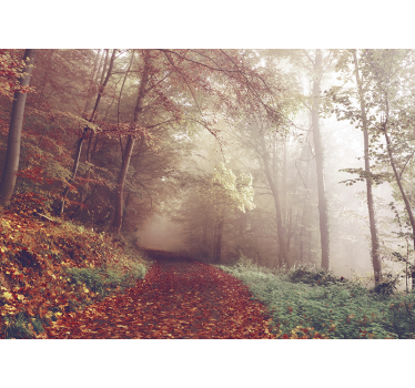 Corridor of autumn trees 3d mural wallpaper - TenStickers