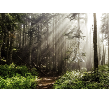 Deep green trees forest mural wallpaper - TenStickers
