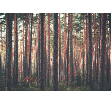Deep forest trees landscape living room mural - TenStickers