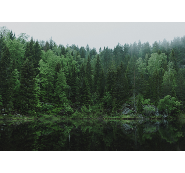 Trees and lake forest mural wallpaper - TenStickers
