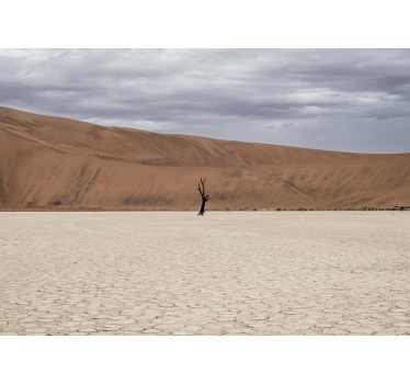 Wall mural mountain desert landscape view - TenStickers
