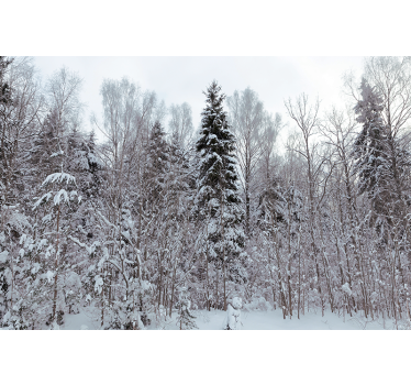 Winter woodland scene forest wall mural - TenStickers