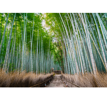 Bamboo path tree wall mural - TenStickers
