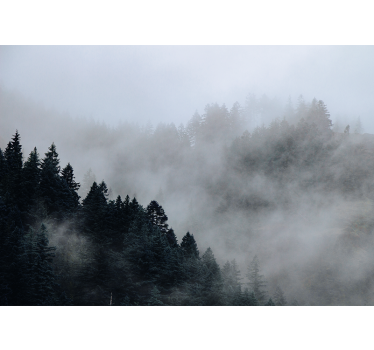 Misty humid landscape forest wall mural - TenStickers