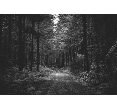 Black and white path forest mural wallpaper - TenStickers