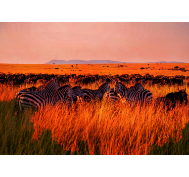 Beautiful African Wildlife landscape murals - TenStickers