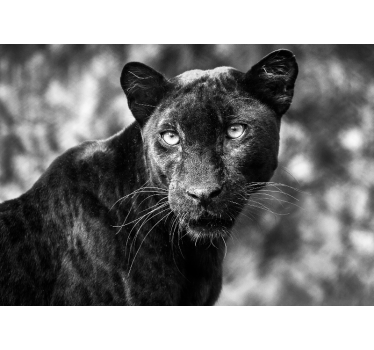 Beautiful Panter Black landscape murals - TenStickers