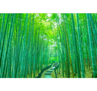 Light bamboo  path nature murals - TenStickers
