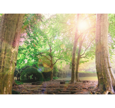 Wall mural nature lush greenery calm - TenStickers