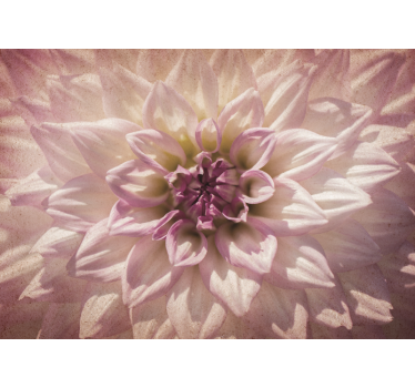 Delicate Pink Blossom flower wall mural - TenStickers