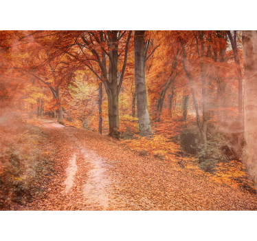 Wall mural nature autumn trail path - TenStickers