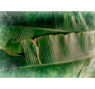Wall mural nature vibrant foliage layers - TenStickers