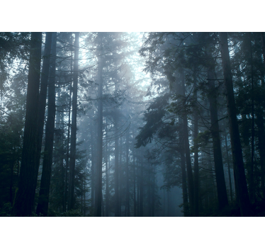 Trees Foggy Forest  wall mural - TenStickers