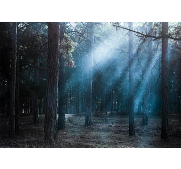 Misty foggy path forest wall mural - TenStickers