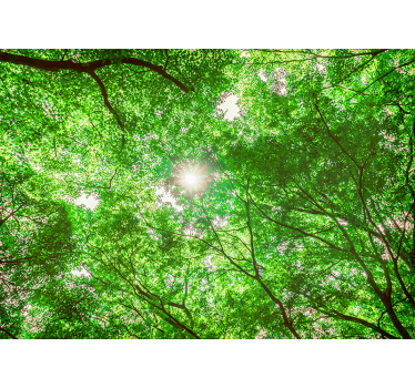 Beautiful green and sunny  forest mural wallpaper - TenStickers
