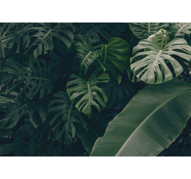 Beautiful green jungle forest mural wallpaper - TenStickers
