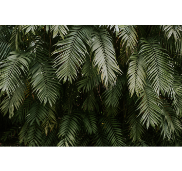 Wall mural nature tropical greenery - TenStickers