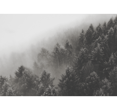 Forest with white pines 3d mural wallpaper - TenStickers