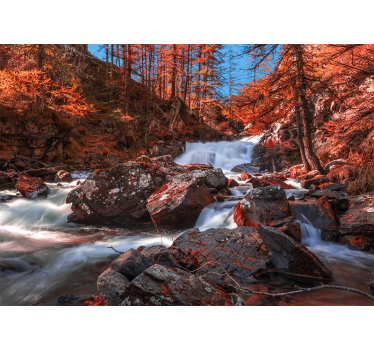 Wall mural mountain cascading rocky stream - TenStickers