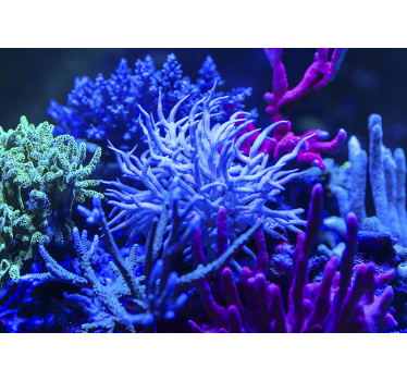 Blue tone coral landscape wall mural - TenStickers