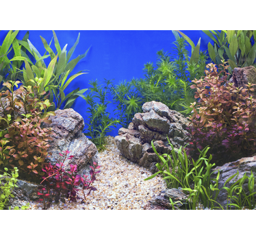 Underwater stones and plants landscape wall mural - TenStickers