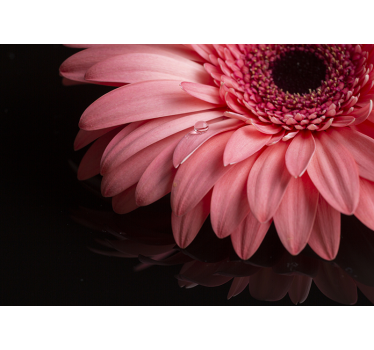 Pink flower mural wallpaper - TenStickers