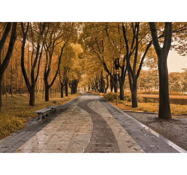 Road in autumn Forest Wall Mural - TenStickers