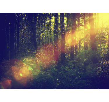 Forest mural leafy woodland - TenStickers