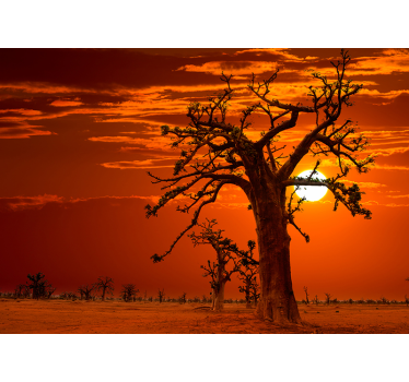 African sunset scenery landscape wall mural - TenStickers