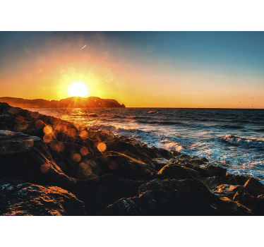 Seaside with sun rays landscape wall mural - TenStickers
