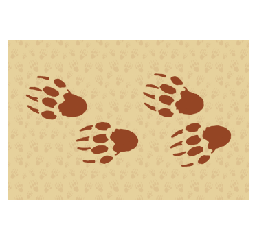 Porcupine footprint Bedroom Murals - TenStickers