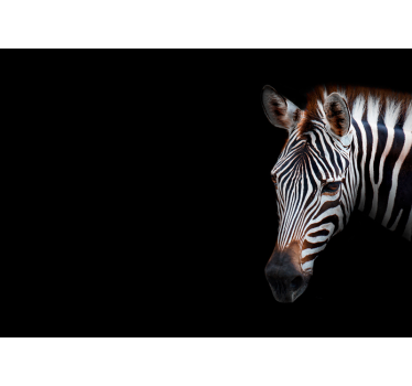 Zebra Picture animal murals - TenStickers