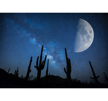 Desert moon and cactus desert mural wallpaper - TenStickers